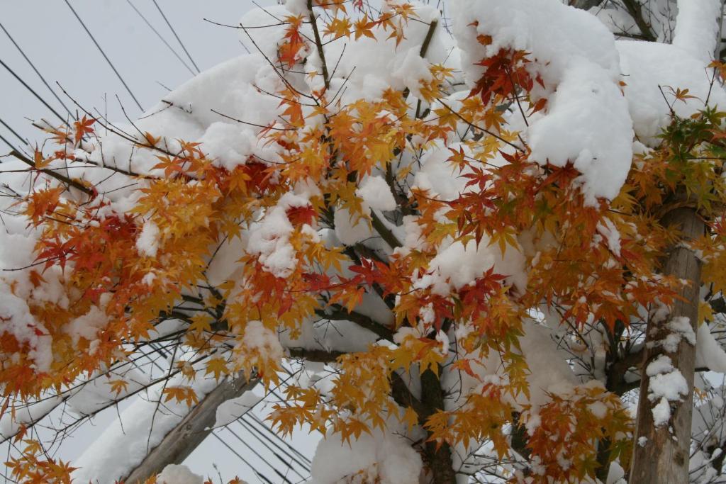 Akakura Wakui Hotel Myoko Exterior foto